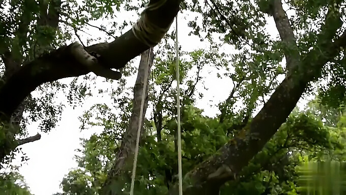 Kekasih Berpayudara Besar Berseronok Di Bawah Sinar Matahari