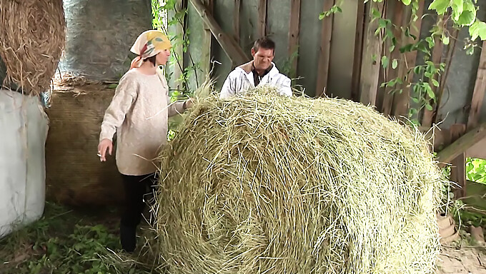 Brunette En Bruinharige Schoonheden Worden Geneukt Door Een Grote Lul Boer